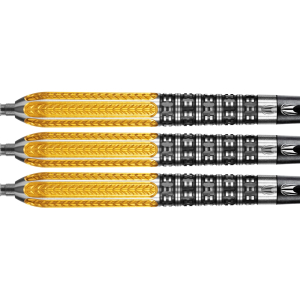 Raymond van Barneveld Gen.2 RVB 95%